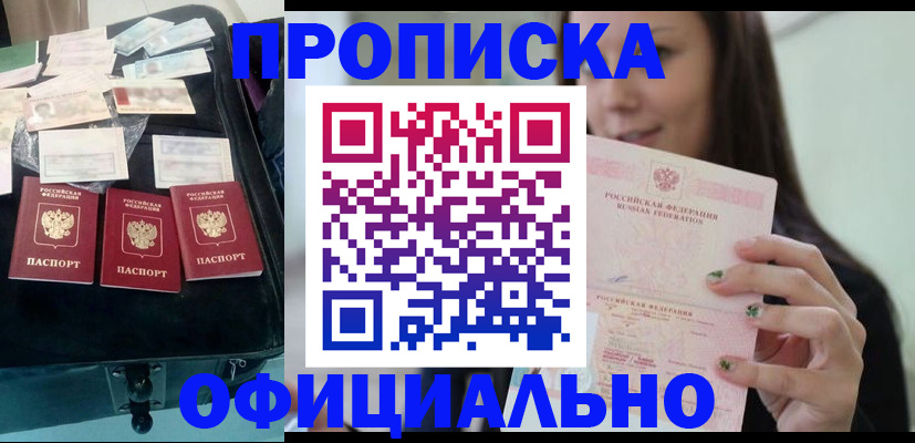 прописка законно в Светлограде